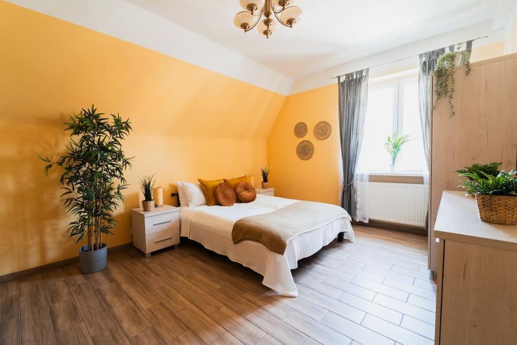 Apartament Market Square - Street Rynek 24 -2 *